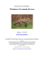 Wikijunior Gli animali del bosco