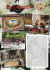 n. 5 - agosto 2013 - Parrocchia Sant`Agostino