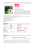 NANO PRO - ClickUfficio.it