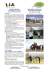 clicca qui! - LIA Language in Action
