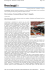 pdf - 116.82 KB - Comune di Concesio