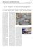 pdf - Fondazione Internazionale Menarini