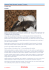 Adamus Saint Germain “scopre” il corpo…