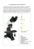 Microscopio - I.I.S.Galilei Crema