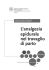 275.73 KB - Policlinico di Modena