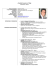 curriculum vitae