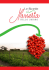 Le Ricette - Masseria dello Sbirro