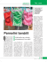 Pannolini lavabili - Città Nuova Editrice