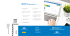 Cliccare qui per scaricare il flyer di SES CashLine+