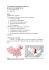 Disastro di Jilin - i save my planet