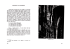 Francini.def_Layout 1 - Centro di Cultura Mariana