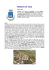 fossato di vico