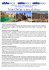 OMAN 24-30 oct (T)