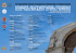 Scarica programma completo