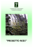 file pdf - clicca