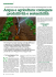 Acqua e agricoltura: coniugare produttività e sostenibilità