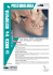 La Bocca tra Osteopatia e Posturologia