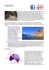 Scaricate la newsletter maggio 2014 formato PDF