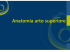 SCARDANZAN 01 - Anatomia Arto Superiore