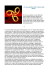 CHE COSA SIGNIFICA 666.pages