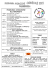 programma animazione