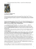 Versione PDF - Comune di Pesaro