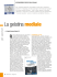 La gelatina mediale