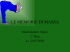 LE MEMORIE DI MASSA
