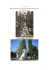 Monumento ai caduti