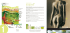 composizione della linea - Isopharma Cosmetics srl