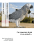 Pappagallino Cenerino - Clinica Veterinaria Omniavet