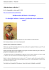 Allucinazione collettiva ? - 04-25-2015