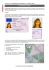 SC H ED A - World`s Vehicle Documents