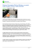 Salva in formato PDF