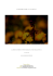 aboratorio di Fotografia Naturalistica – Osoppo