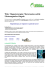 Wiky Magnetoterapia: Materassino sottile Ultramagnetico Singolo