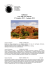 MAROCCO Capodanno 27dic3genn2013