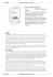 Maca in polvere bio 150 g 13 Recensioni 19,99 € Panoramica