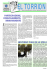 Scarica il numero completo