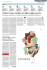 CORRIEREFC_NAZIONALE_WEB(2015_01_11)