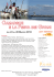 camargue e la festa dei gitani