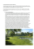 Visioning`di`Elena`Mortola`(da`completare)