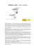 Gabbiano comune (Larus ridibundus)