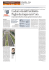 La pagina de la Repubblica con il testo integrale dell`articolo