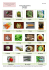 Page 1 of 5 Italian Food Vocabulary Vegetables Le Verdure il