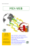 MEX-WEB - Gianni Maiorani