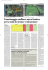 Giornale 10_2013_Layout 1