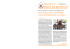 Notiziario del 15/12/2013
