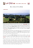Blanc de Blancs 2011 Clos Mireille