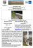 DISLIVELLO MASSIMO: 800 m. circa DIFFICOLTA`: E